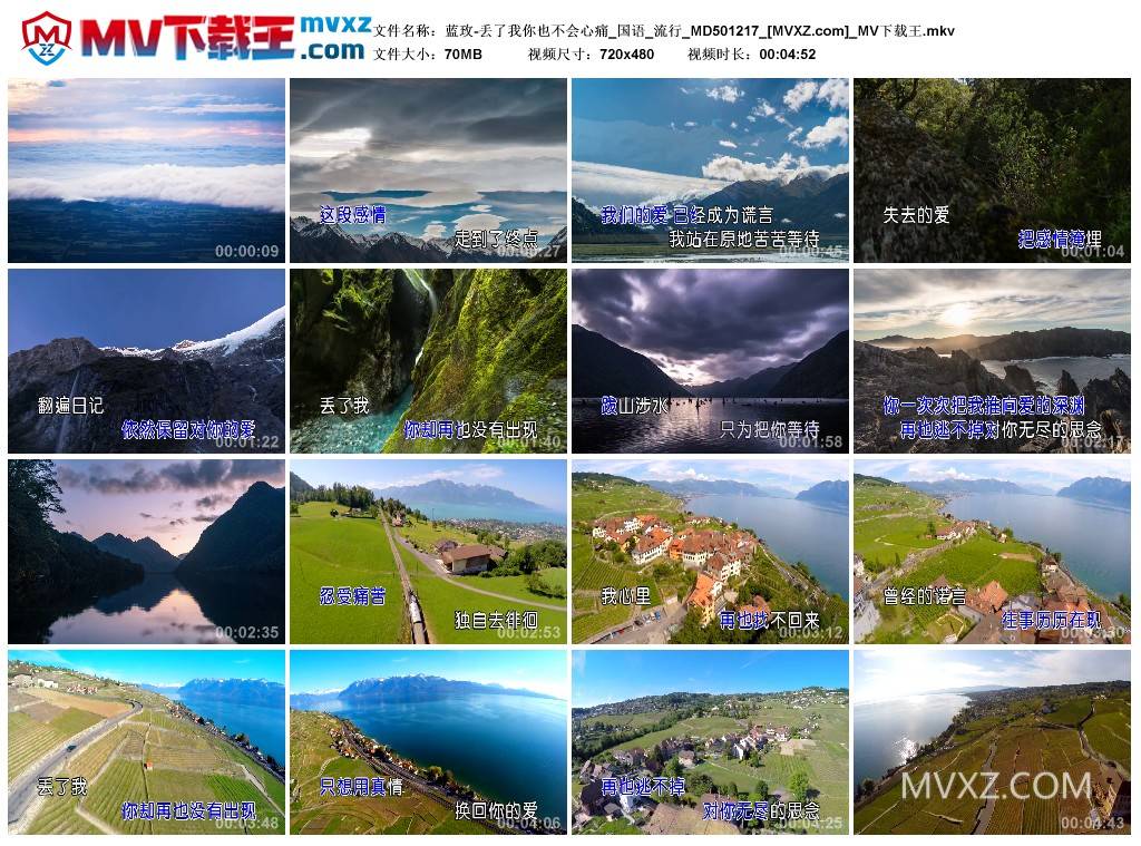 蓝玫-丢了我你也不会心痛_国语_流行_MD501217